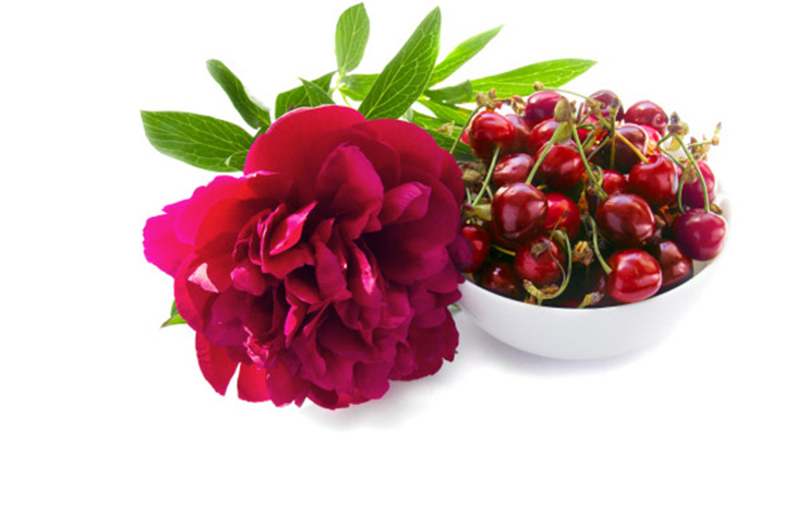 placer floral  y frutos rojos