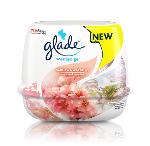 Glade Solid Air Freshener, Deodorizer for Home and Bathroom