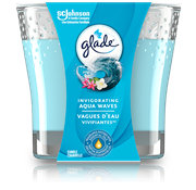 Glade Fresh Berries and Wild Raspberry Wax Melts - Shop Scented