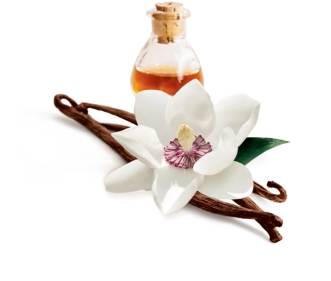 vanilla_magnolia_tout