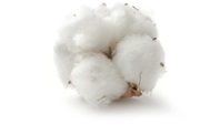 glade crisp white cotton