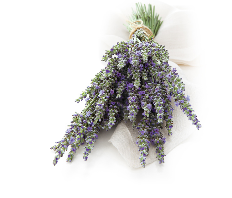 Lavender & Vanilla | Glade Fragrances