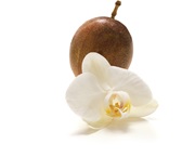 glade vanilla passion fruit fragrance
