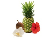 Hawaiian-Breeze-and-Vanilla-Passion-Fruit